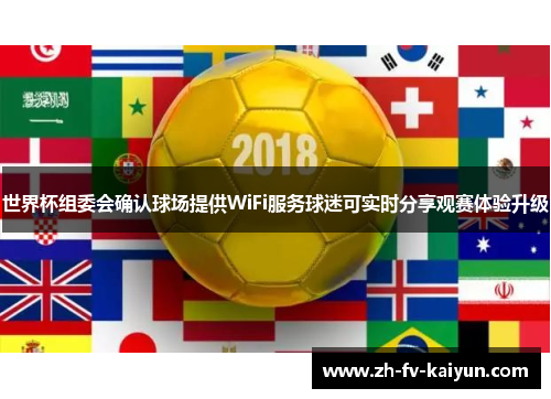 世界杯组委会确认球场提供WiFi服务球迷可实时分享观赛体验升级